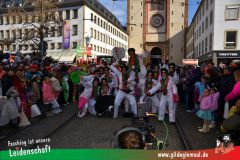 Wuerzburger-Faschingszug-187