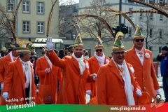 Kinderfaschingszug_Wuerzburg-007