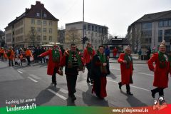 Kinderfaschingszug_Wuerzburg-018