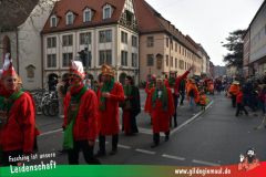 Kinderfaschingszug_Wuerzburg-021