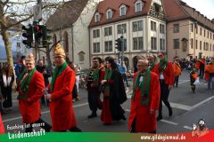 Kinderfaschingszug_Wuerzburg-022