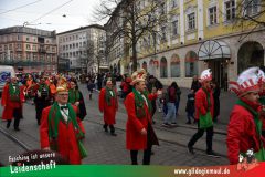 Kinderfaschingszug_Wuerzburg-030