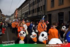 Kinderfaschingszug_Wuerzburg-037