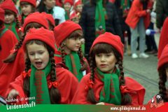 Kinderfaschingszug_Wuerzburg-053