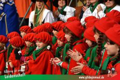 Kinderfaschingszug_Wuerzburg-064