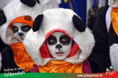 Kinderfaschingszug_Wuerzburg-066