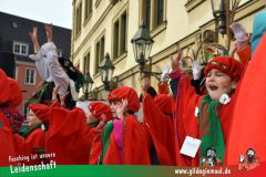 Kinderfaschingszug_Wuerzburg-085