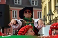 Kinderfaschingszug_Wuerzburg-087