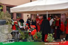 Kinderfaschingszug_Wuerzburg-091